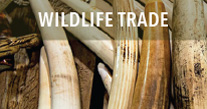 Wildlife/ trade