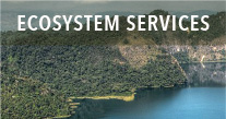 Ecosystem/ services
