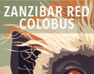 Zanzibar Red/ Colobus
