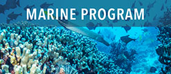Marine Program